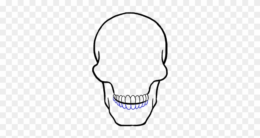 How To Draw Skull - Skull Drawing Clipart