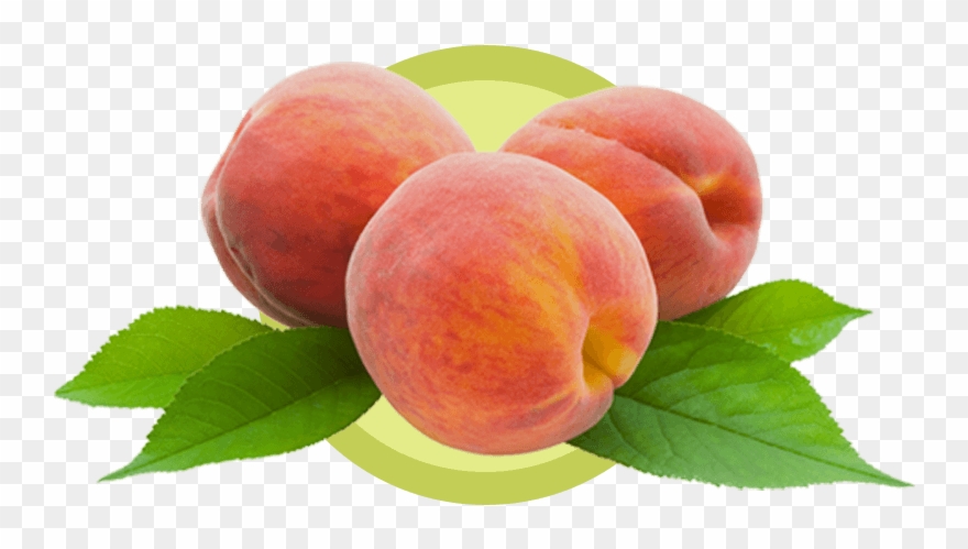 Peach Png Dulcinea® Farms Fruit Of Legendary Perfection™ - Biofinest - Peach Fragrance Oil - 100% Fresh & Clipart