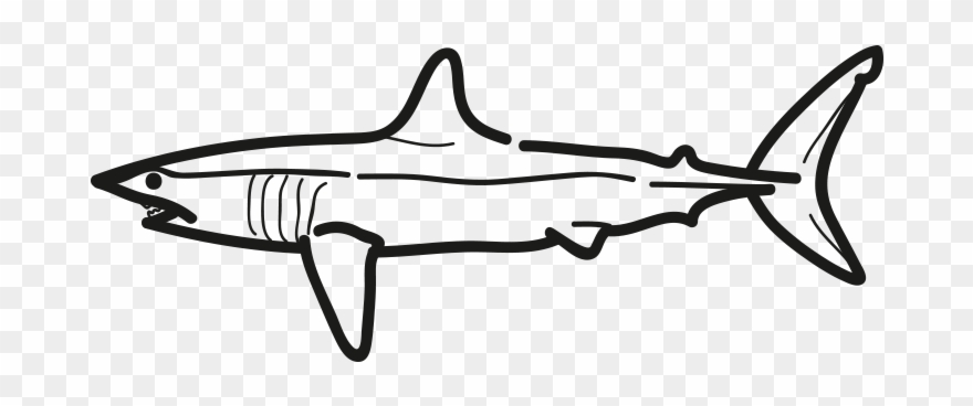 Mako Shark - Shortfin Mako Shark Clipart