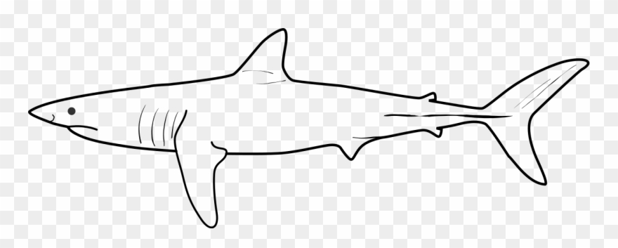 File - Shortfin Mako - Svg - Shortfin Mako Shark Clipart
