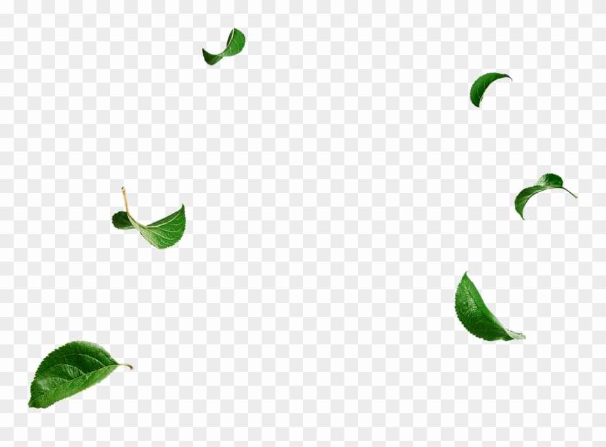 „lithuanian Vodka“ Kiwi & Apple - Illustration Clipart