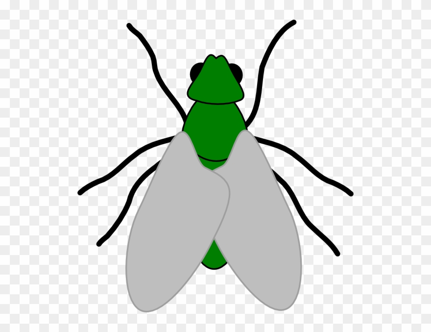 Green Fly Drawing Clipart