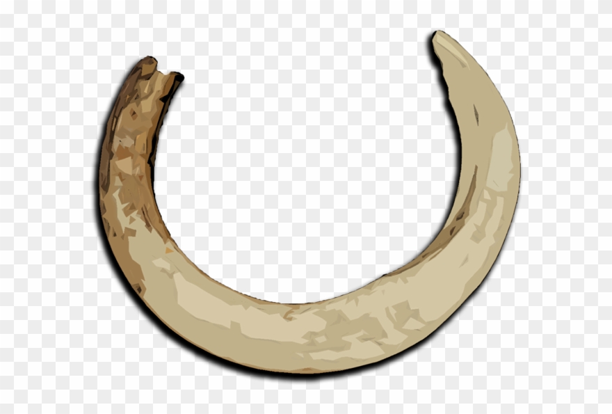 Boar Tusk - Boar Tusk Png Clipart