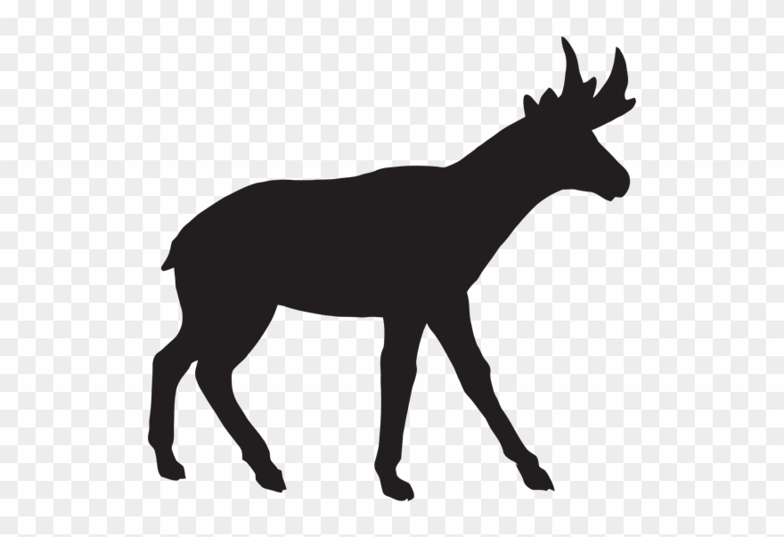 2018 Antelope Hunting Rates - North America Clipart