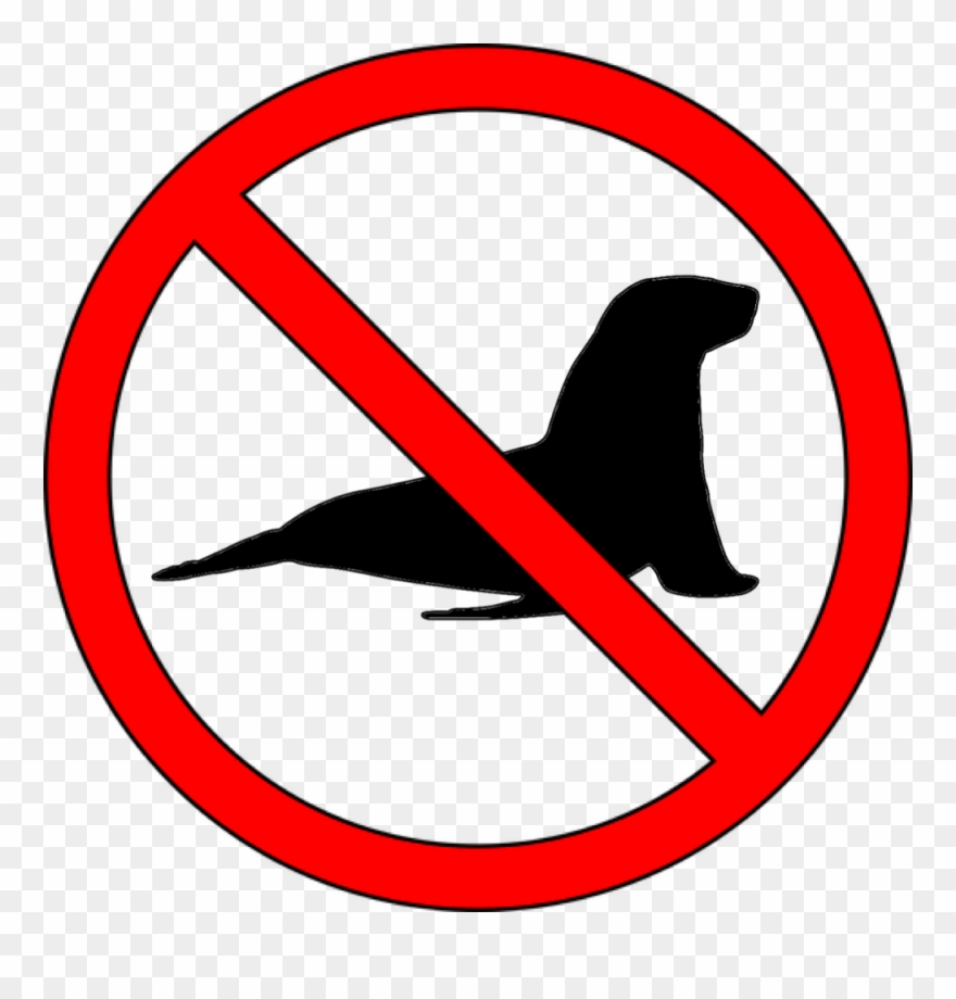 10 Marine Species That Need Protecting Clipart