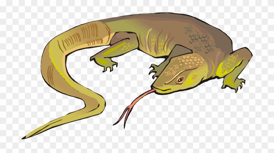 Clip Free Cliparts Zone - Monitor Lizard Cartoon Png Transparent Png