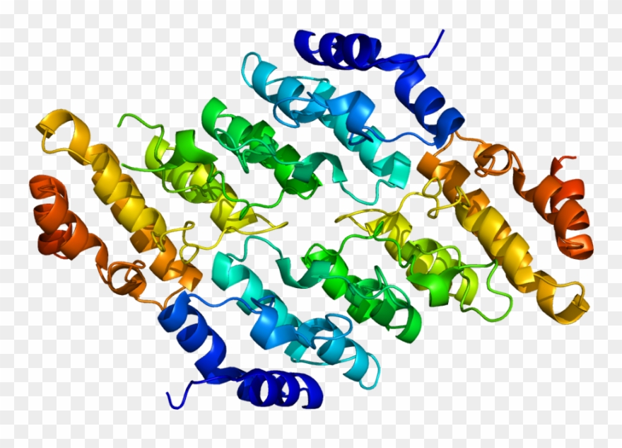 Download Chemistry Foundations And Applications D J - Portable Network Graphics Clipart
