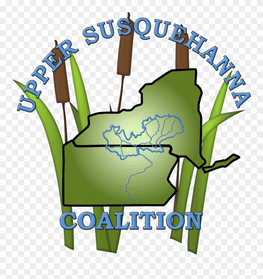 Riparian Forest Buffer Position In Upper Susquehanna- Clipart