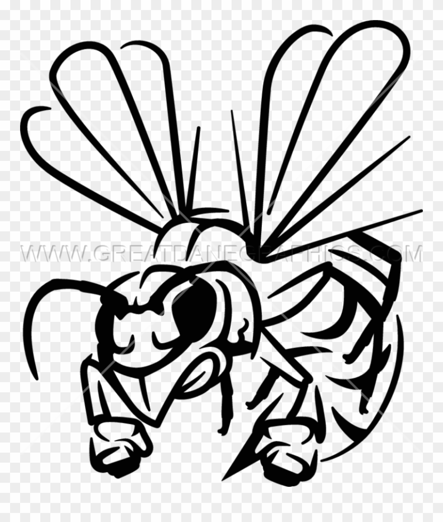 Hornet Clipart Wings - Hornet Lineart - Png Download
