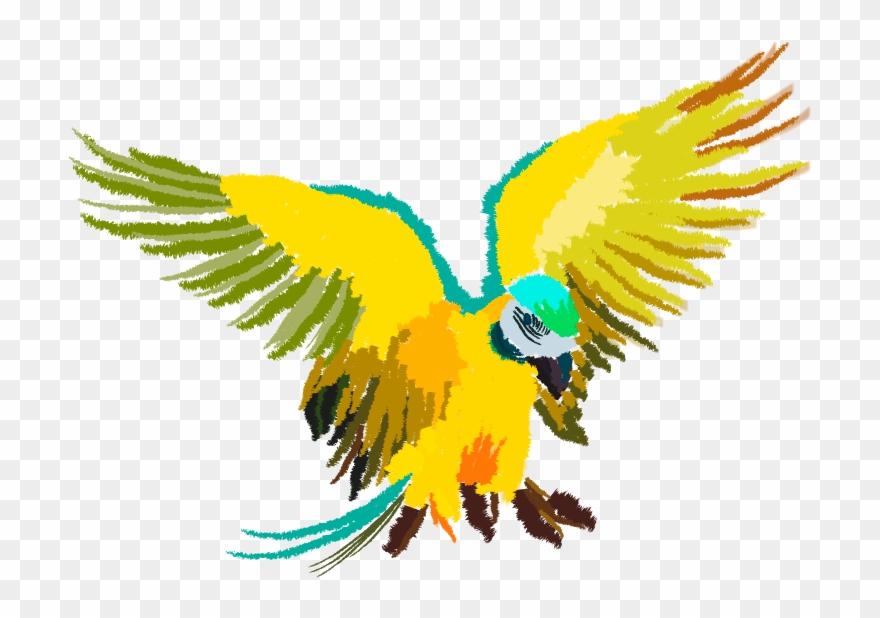 Blue & Gold Macaw Clipart