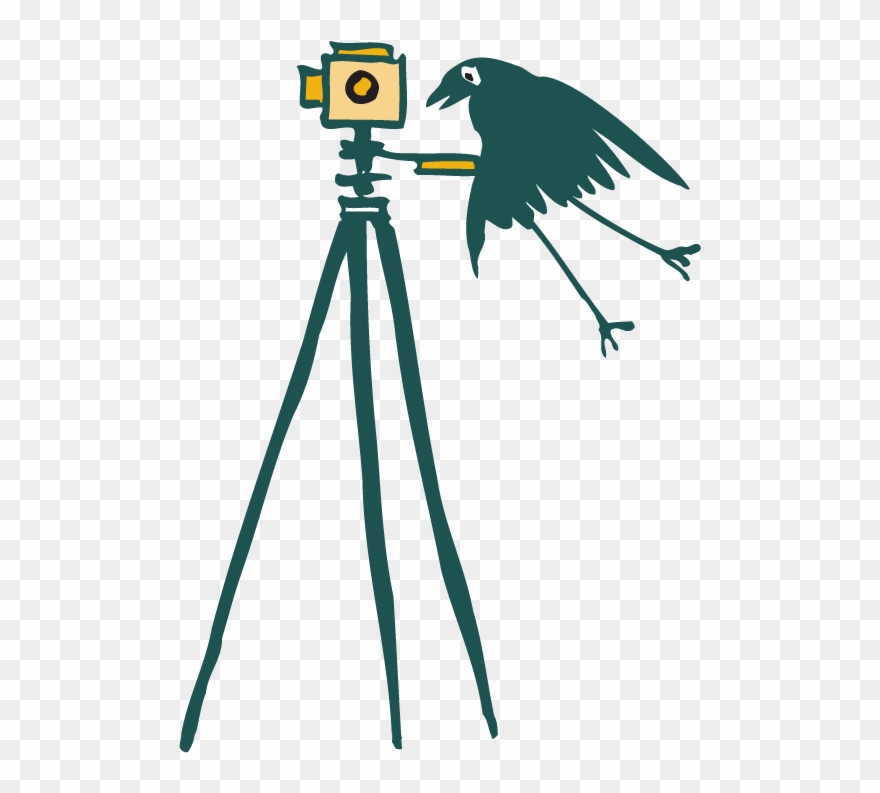 Photographer Clipart