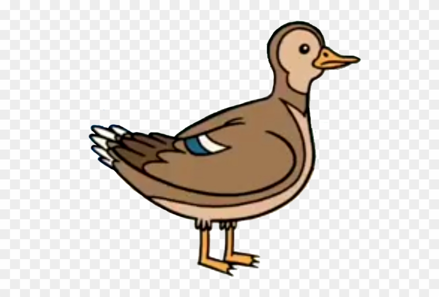 Mother Duck - Seaduck Clipart