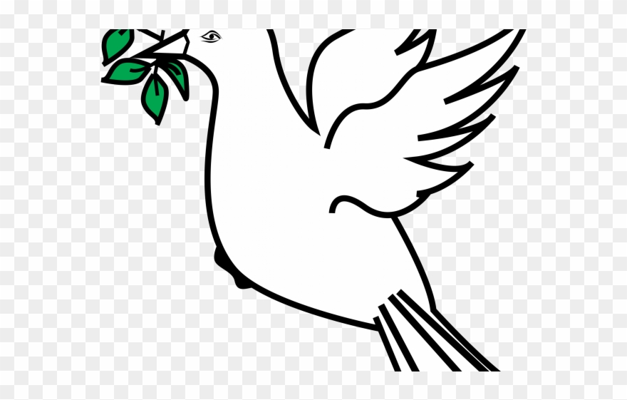 Drawn Dove Olive Branch Drawing - Dove Olive Branch Transparent Clipart