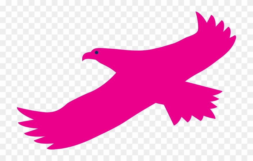 Falcon Clipart