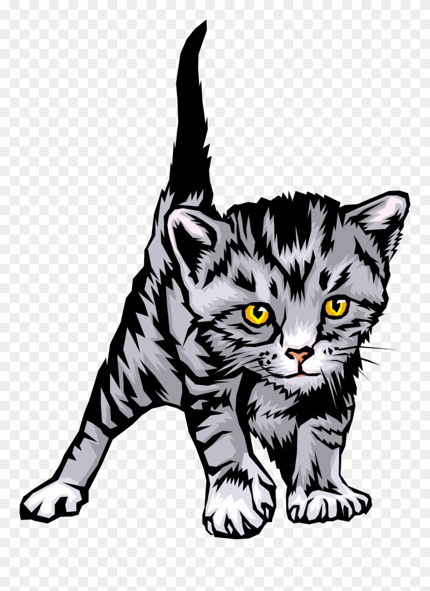 Vector Library Cats Vector Himalayan Cat - Colouring Pages Cat Cute Clipart