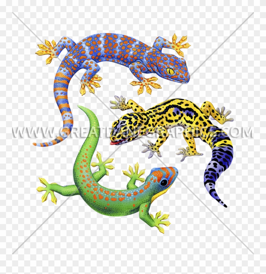 Three Geckos Production Ready Artwork For T - Printed T-shirt Clipart