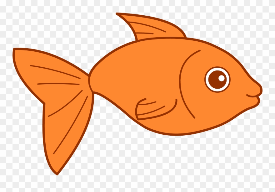 Then The Social Entrepreneur Scales The Venture And - Fish Clipart