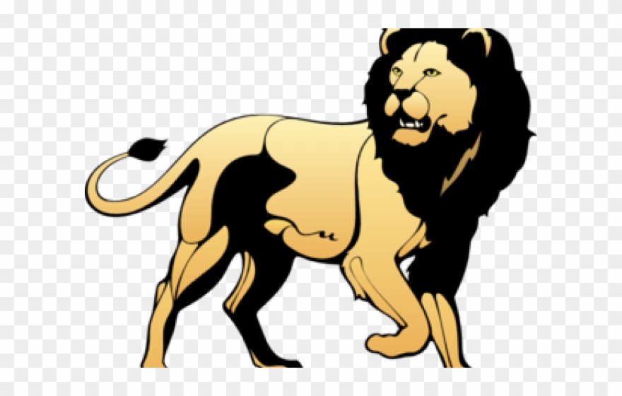 Lion Clipart Walking - Lion Drawing Black N White - Png Download