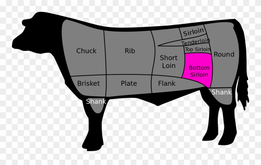 Bottom Sirloin - Cuts Of Beef Clipart