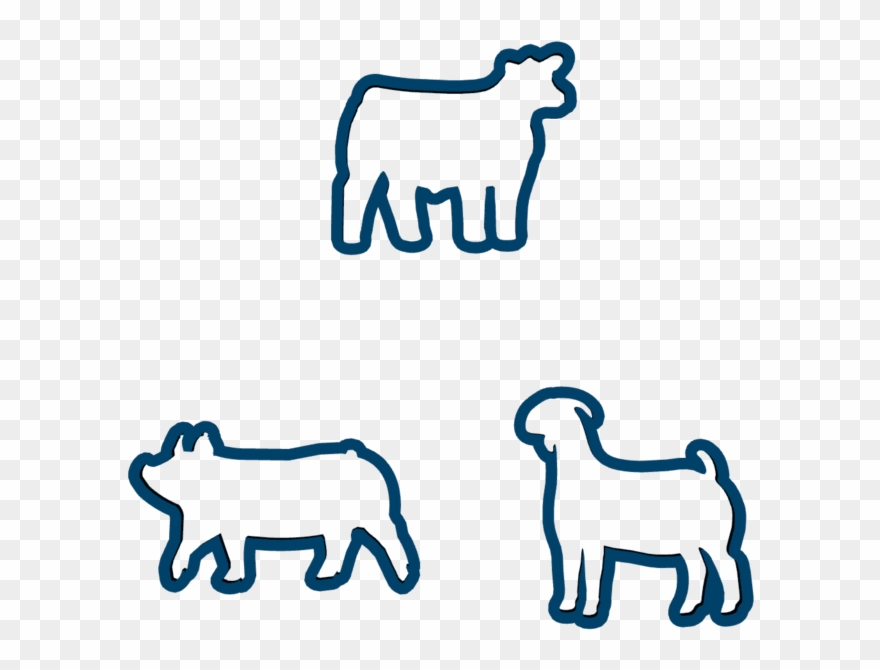 Custom Livestock Horse Cookie Cutter - Horse Clipart