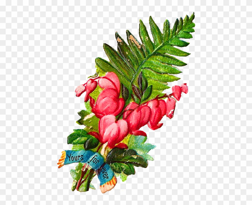 I Love Bleeding Hearts Flowers They're So Pretty And - Flower Clipart