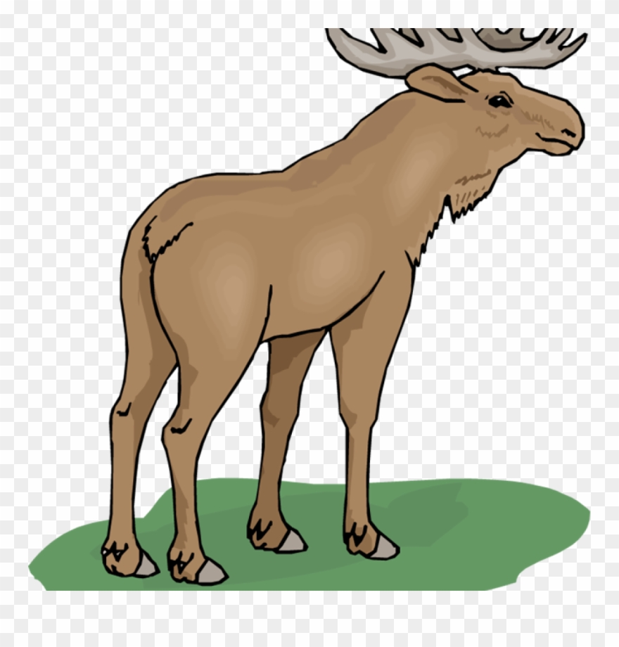 Free Money Hatenylo Com Space - Clip Art - Png Download