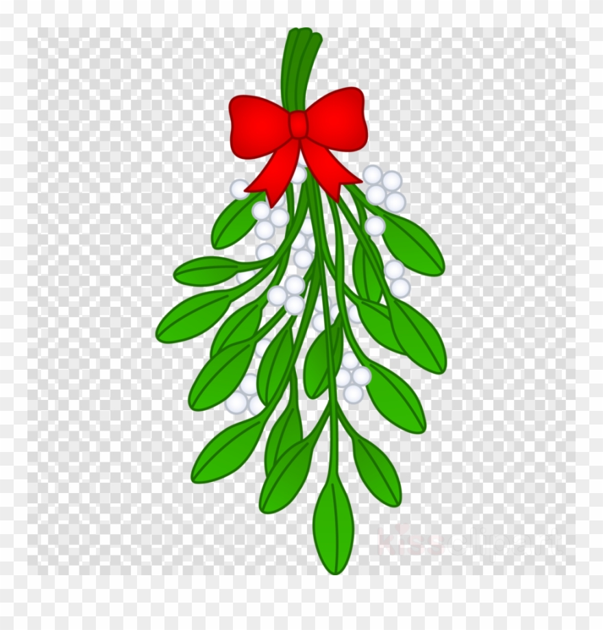 Mistletoe Clipart Christmas Mistletoe Clip Art - Transparent Mistletoe Clip Art - Png Download