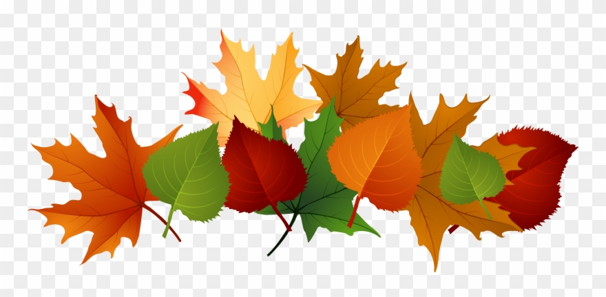 Autumn Leaves Pile Clip Art - Png Download