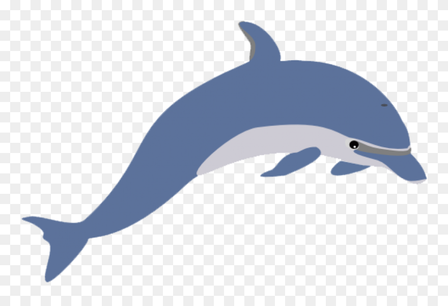 Clipart Dolphin - Png Download