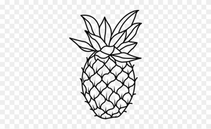 Seedless Fruit Clipart