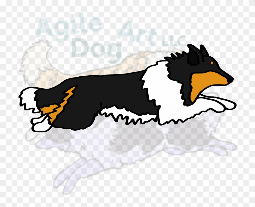Picture - Rough Collie Clipart