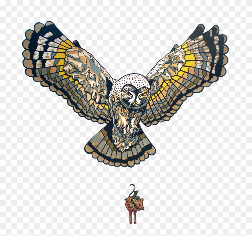 Board Birds Joe Fenton Design As The - Clip Art - Png Download