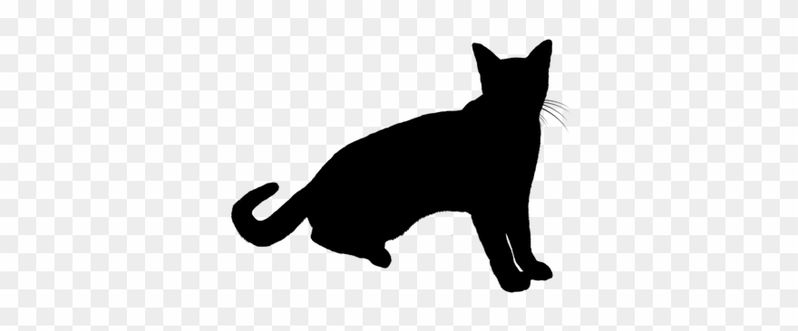 Cat Clipart