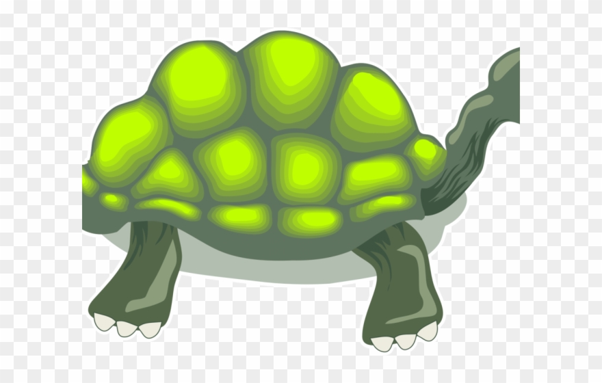 Tortoise Clipart Box Turtle - Turtle - Png Download