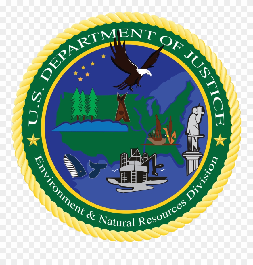 Sunita Williams Mission Insignia Clipart