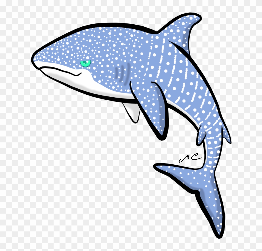 Whale Shark By Mischievouspooka - Whale Shark Chibi Clipart