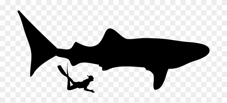 Swimming With Whale Sharks - Whale Shark Clipart
