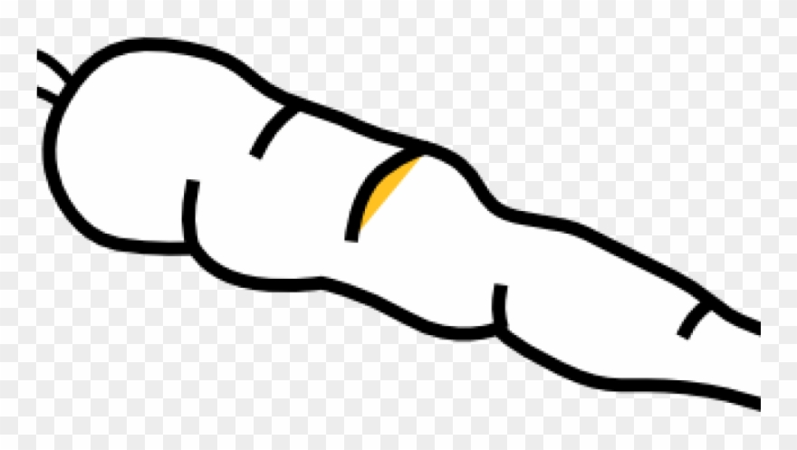 Carrot Clipart Black And White Carrot Black And White - Transparent Background Carrot Clipart - Png Download