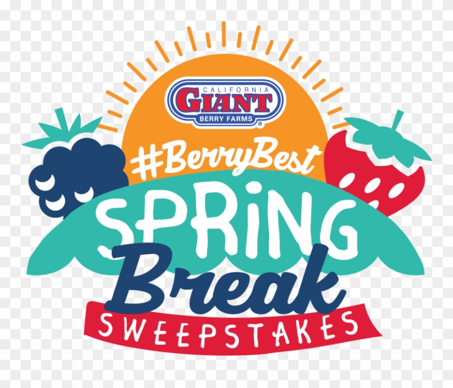 Mixed Berry Tart Clipart