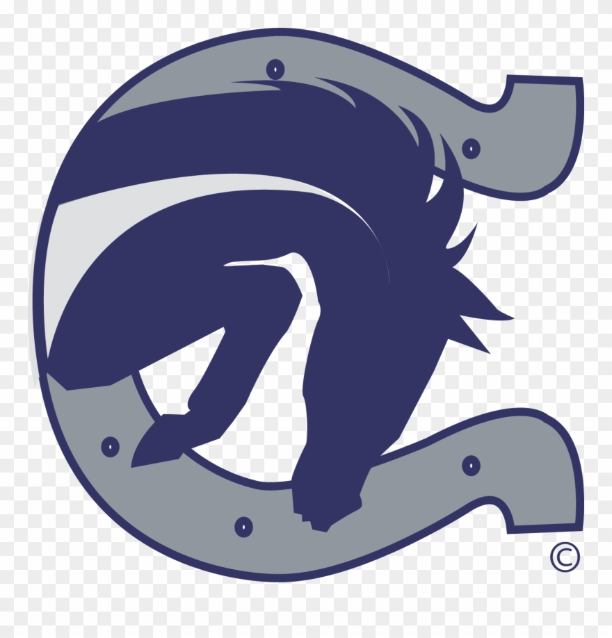 Panther Clipart Medina Valley Champion High School Logo Png Download (1848433) PinClipart