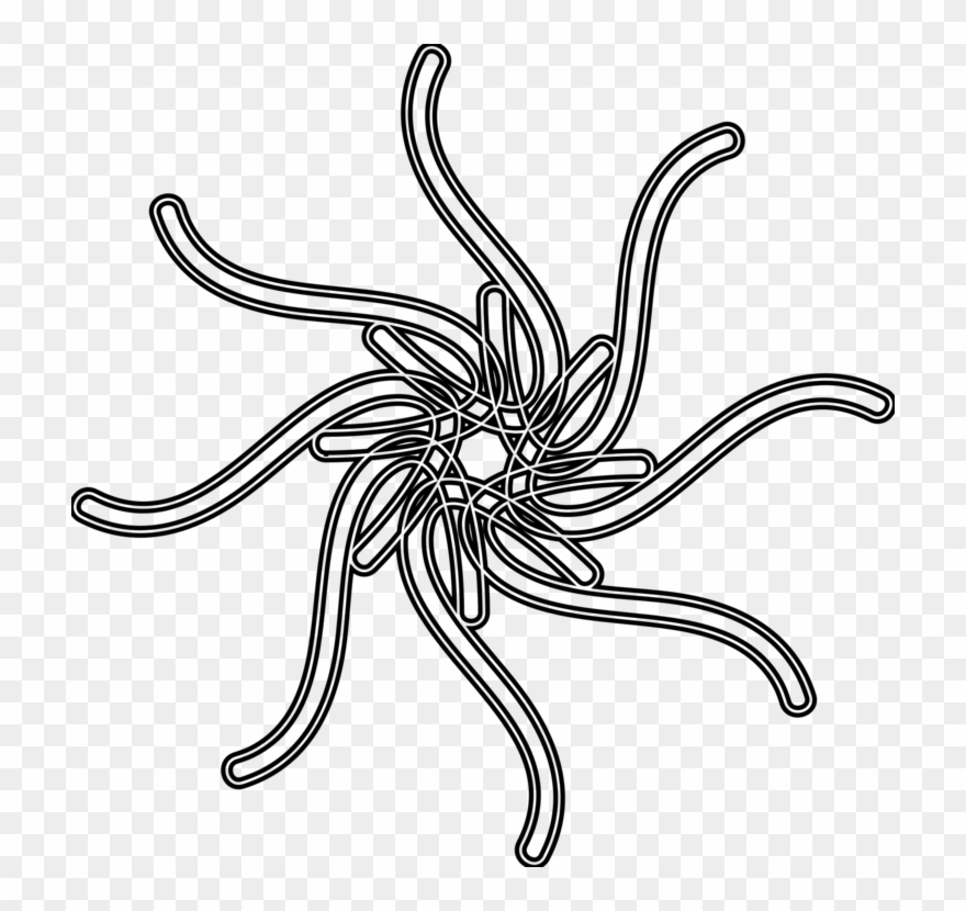 Coloring Book Colouring Pages Mandala Lawn - Drawing Clipart