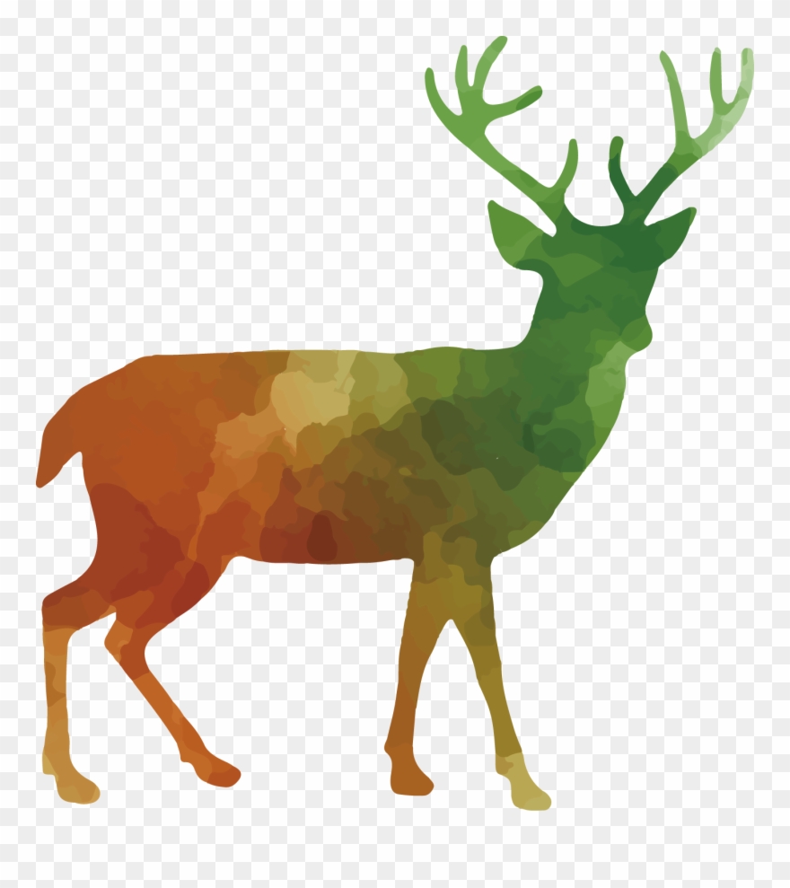 White Tailed Deer Clipart Roe Deer - Forest Animals Shower Curtain - Png Download