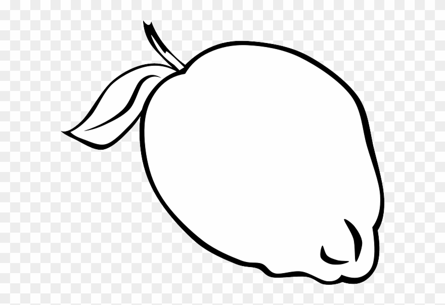 Free Pictures Lemon Images Found Plant Food - Fruit Outlines Clipart