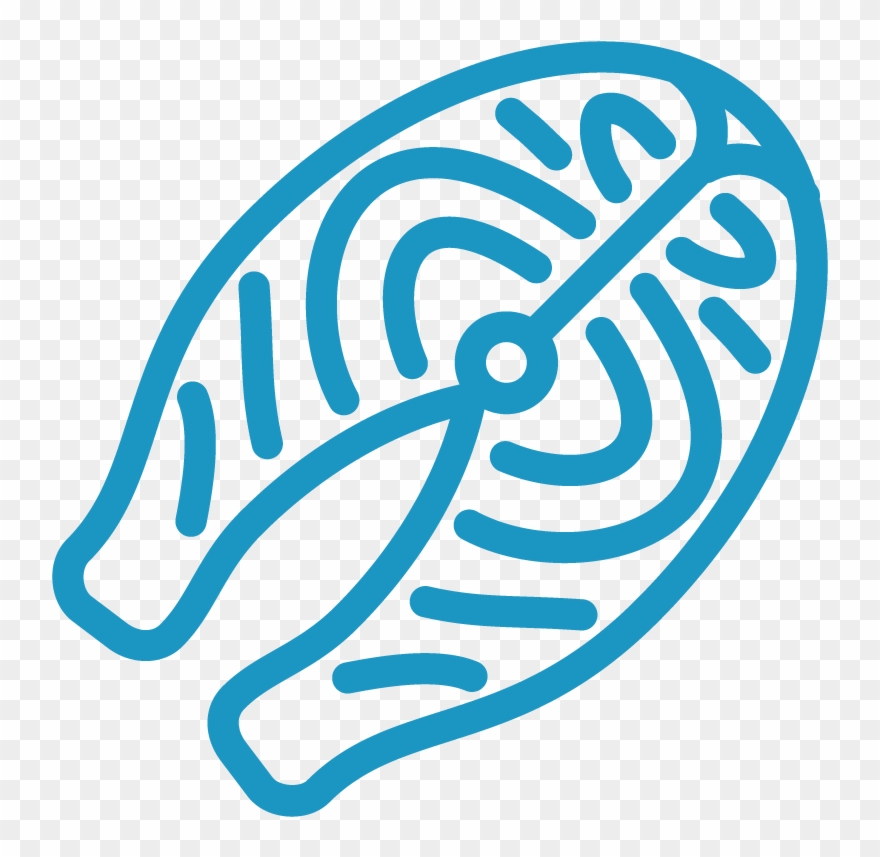 Fish Fillets Frozen - Salmon Clipart