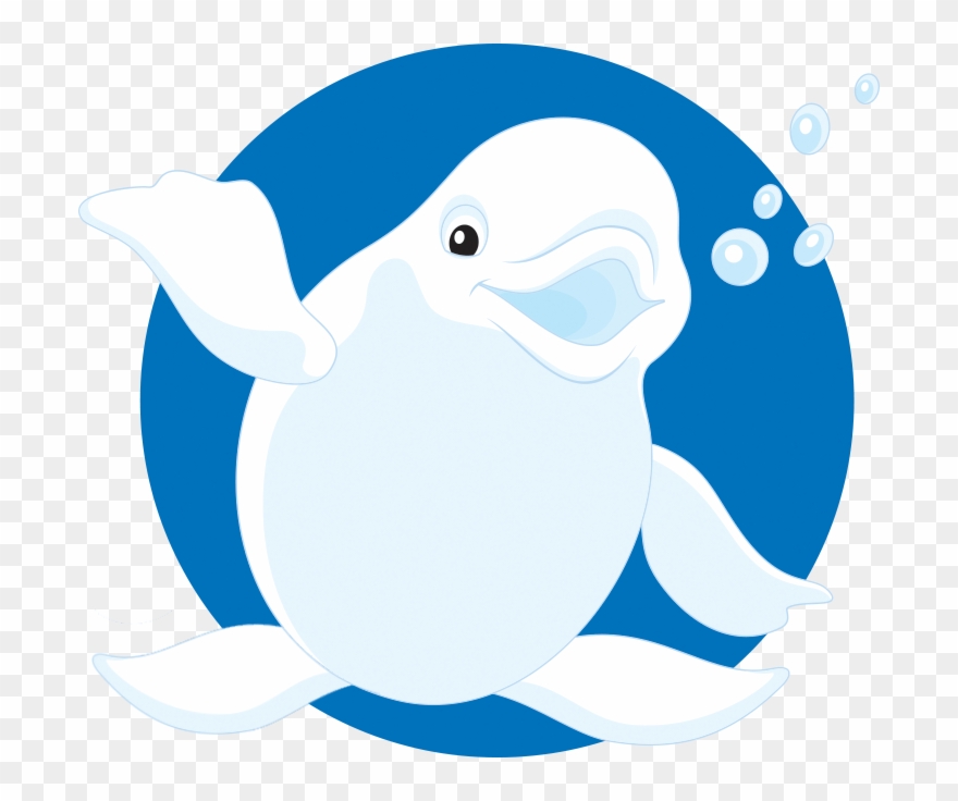 Beluga Clipart Funny - Beluga Vector - Png Download