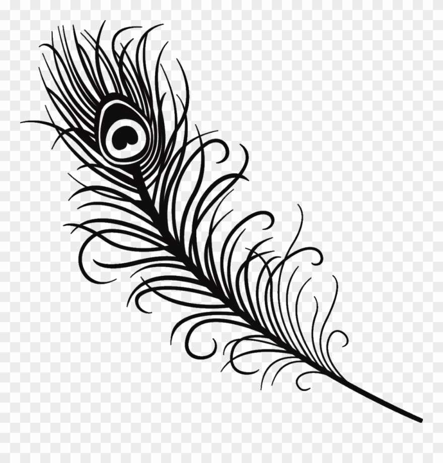 Silhouette Feather Peacock Peacockfeather Black Love - Peacock Feather Vector Black And White Clipart
