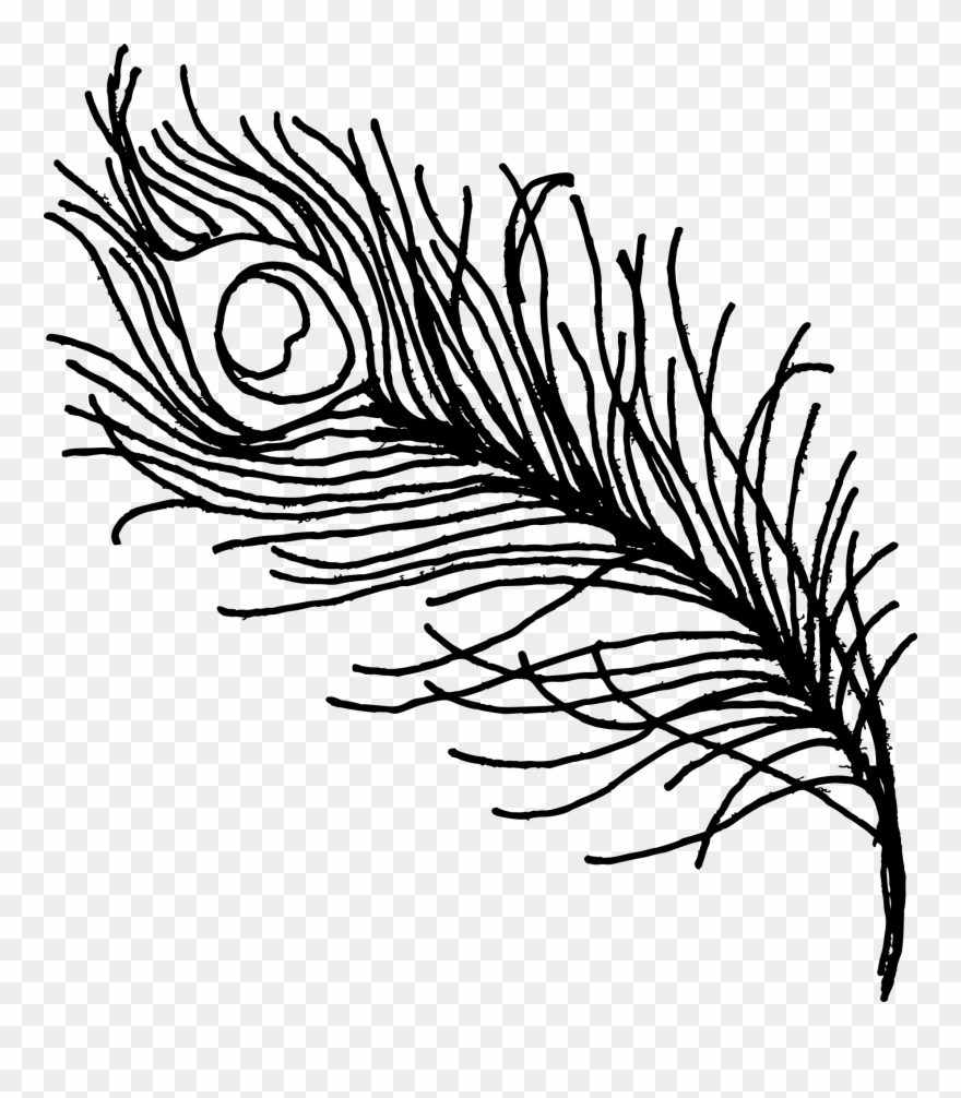 Peacock Feather Drawing Png Transparent Onlygfx Com - Drawing Clipart