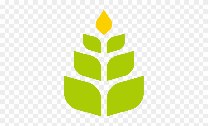 Frames Illustrations Hd Images Photo Foin De - Vector Graphics Clipart