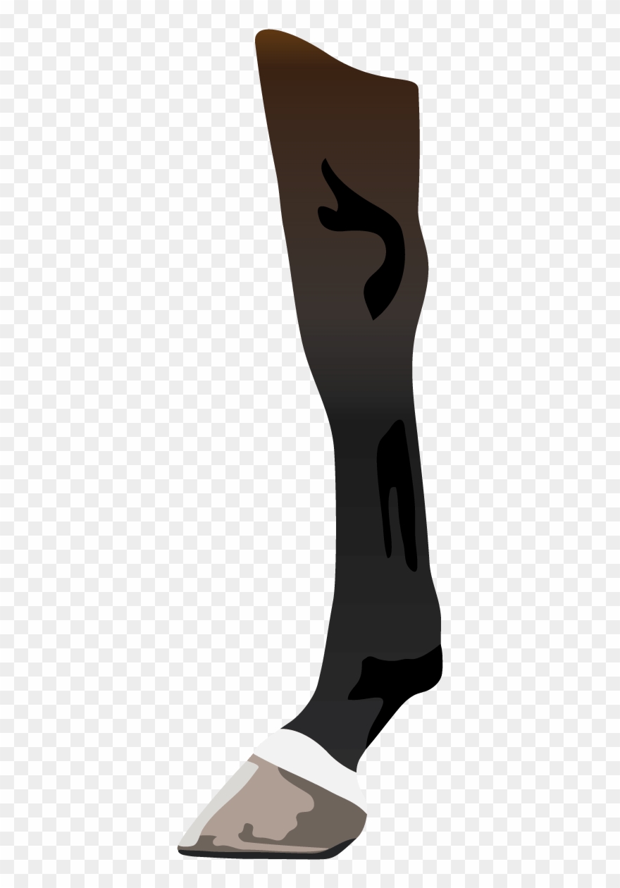Learn Horse Face Leg Markings Other Markings Fun Quizzes - Illustration Clipart
