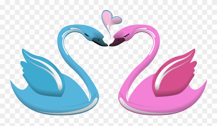 Swan Cartoon Png Clipart